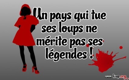 Nouvelle campagne du petit chaperon rouge - Sur la piste du loup | Loup | Scoop.it