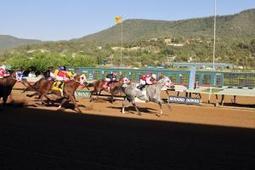 Ruidoso Downs: Executive Brass Wins the 2012 Ruidoso Derby
