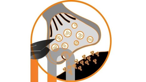 NeuroMoodle - Insights by a Teacher to Integrate Technology in Your Educational Practice - EdTechReview&trade; (ETR) | Educational Technology | Scoop.it