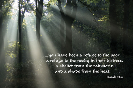 Isaiah 25.4 Poster - You have been a refuge to the poor, a refuge to the needy... | Resources for Catholic Faith Education | Scoop.it