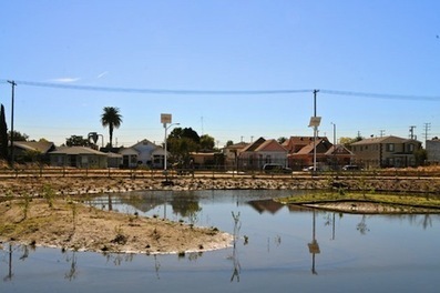 A Los Angeles Parking Lot Becomes an Inner City Wetland | The Living Principles | foresight | Scoop.it