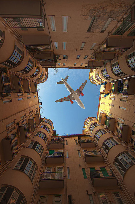 25 Perfectly Timed Photos | Digital Luxury Chronicles | Scoop.it