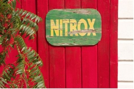 Nitrox : The Pros & Cons | ScubaObsessed | DiverSync | Scoop.it