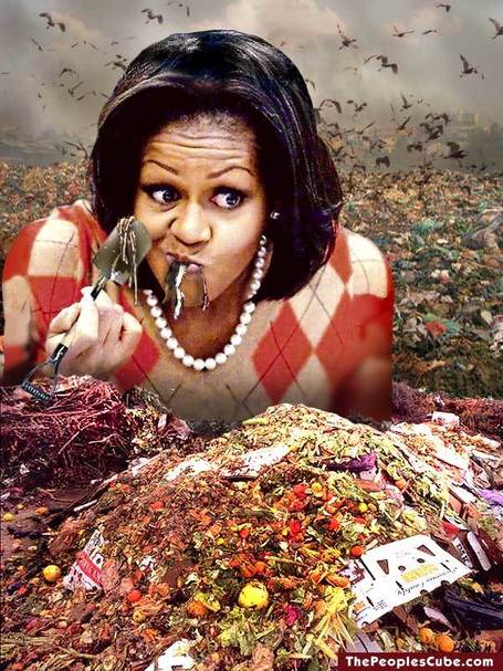 Is Michelle Obama&rsquo;s &ldquo;natural food&rdquo; campaign designed to hide the White House attack on organic&nbsp;food? | MN News Hound | Scoop.it
