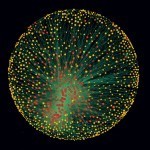 Revealed &ndash; the capitalist network that runs the world | Psycholitics & Psychonomics | Scoop.it