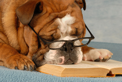 Just Story It - The Best Ever Biz Story Book List For You | K&auml;llkritk | Scoop.it