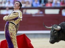 Espagne : Les nouveaux élus de gauche en croisade anti-corrida | ALTERNATIVES ET RÉSISTANCES | Scoop.it