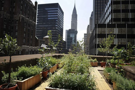 Urban Farming Is Growing a Green Future | &Eacute;conomie circulaire locale et r&eacute;siliente pour nourrir la ville | Scoop.it