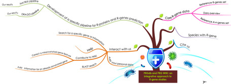 Database: Plant Resistance Gene Wiki (2013) | Effectors and Plant Immunity | Scoop.it