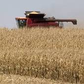 Report: Climate change could devastate agriculture | Sustain Our Earth | Scoop.it