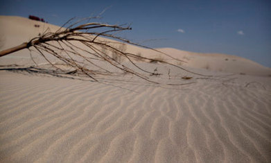 Climate change will be slower than thought, study shows &ndash;&nbsp;or does it? | Climate change challenges | Scoop.it