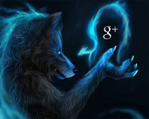  Google+