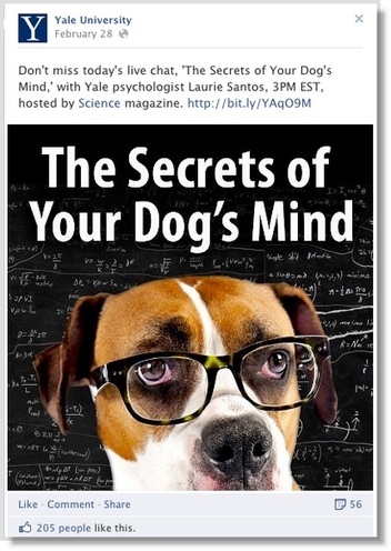 4 Social Media Marketing Lessons From the Top Colleges | Jeffbullas's Blog