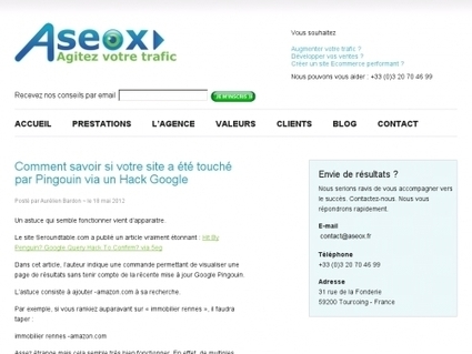 Comment savoir si votre site a &eacute;t&eacute; touch&eacute; par Pingouin via un Hack Google | Websourcing.fr | formation 2.0 | Scoop.it