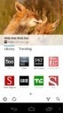 First Impressions of Google&rsquo;s Flipboard Competitor: Google Currents | Mobile Journalism Apps | Scoop.it