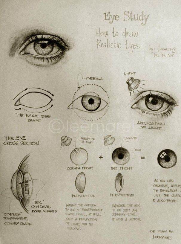 Eye Drawing Reference Guide | Drawing Reference...