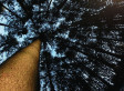 Nature's Seat In The Boardroom | Financing Nature Conservation | Scoop.it