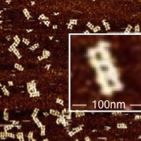 A 3D printer that manufactures new cancer drugs with drag-and-drop DNA | Top CAD Experts updates | Scoop.it