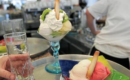 Ils fondent pour le soleil | Strasbourg Actu | Scoop.it