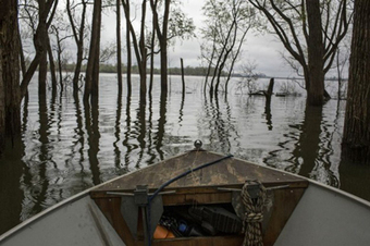 Resuscitating the Dead Zone - OnEarth Magazine | Fish Habitat | Scoop.it