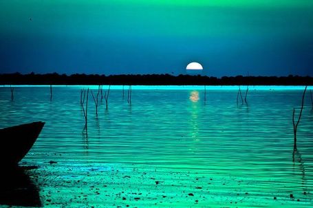 Elena Simona Craciun's photographs | Looks -Pictures, Images, Visual Languages | Scoop.it
