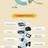 All Infographics