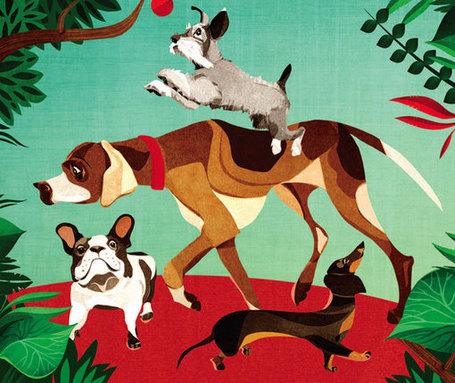 Dog&rsquo;s Personalitites | Education canine, comportement canin | Scoop.it