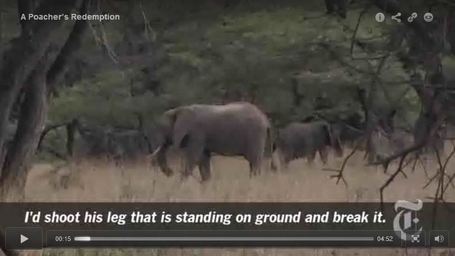 A Poacher&rsquo;s Redemption | Geography Education | Scoop.it
