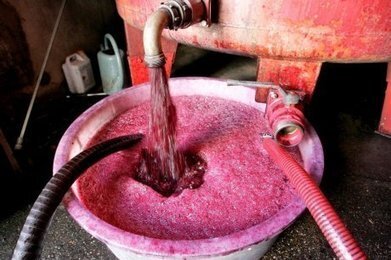 Fraude dans le vignoble des C&ocirc;tes de Blaye : un mill&eacute;sime relev&eacute; &agrave; l'acide sulfurique | Plume de Canard | Scoop.it