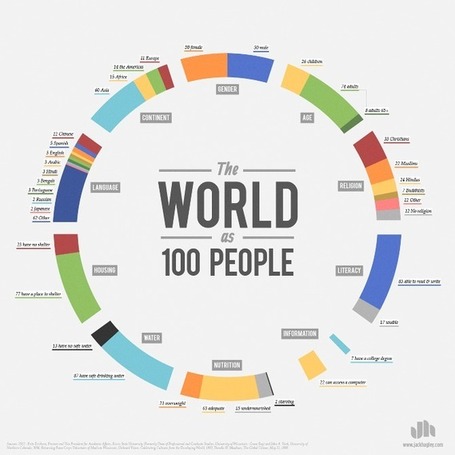 The World as 100 People / Infographic | visual data | Scoop.it