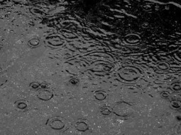 Heimholtz Centre for Ocean Research Climate Projections Turn Out To Be Entirely Wrong &ndash; Not A Dry Summer Since 2003! | News & Politics | Scoop.it