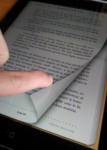 L'essor du livre num&eacute;rique en France sera restreint | Livres num&eacute;riques | Scoop.it