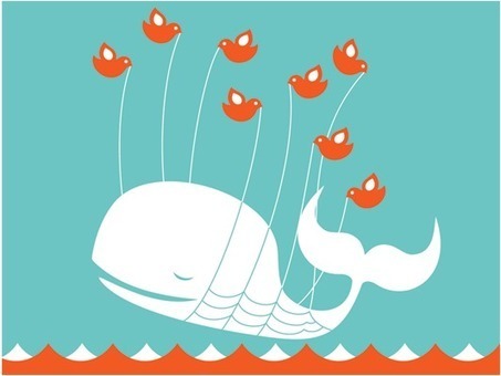 50 Ways to Use Twitter in the Classroom | Training-PD | Scoop.it