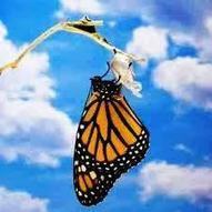 Three &ldquo;T&rdquo;s in Transformational Leaders ~ Future of CIO | new organisations | Scoop.it