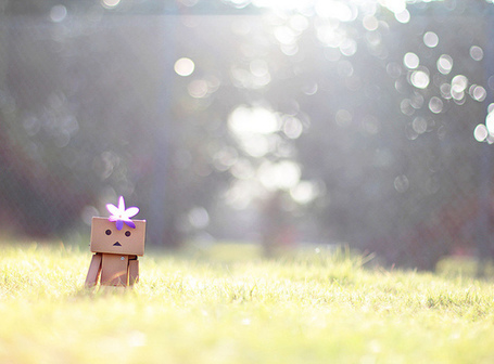 today was a fairytale Best of Danbo Scoopit do you know this song 
