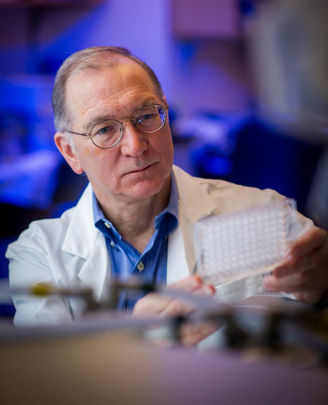 mesothelioma lawyers dot