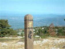 Sortie Ventoux, sur les traces de Jean-Henri Fabre - BEAUMONT DU VENTOUX - D&eacute;tail festivit&eacute;s mois | vaucluse | Balades, randonn&eacute;es, activit&eacute;s de pleine nature | Scoop.it