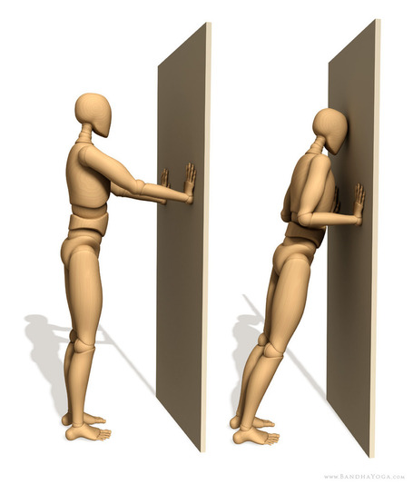The Daily Bandha: "Easing in" to Chataranga Dandasana | Yoga Works! | Scoop.it