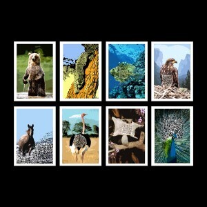 SET QR Codes and Business Cards &ndash; SET Japan | All About QR Codes | Scoop.it