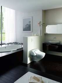 Geberit : une toilette avec jet nettoyant | IMMOBILIER 2013 | Scoop.it