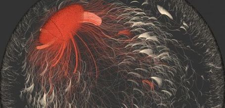 UA Study Examines How News Spreads on Twitter  | UANews | Public Relations & Social Media Insight | Scoop.it
