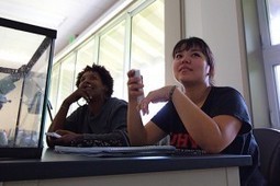 What 6 Years of Study Says About Using Clickers in the Classroom | academiPad | Scoop.it