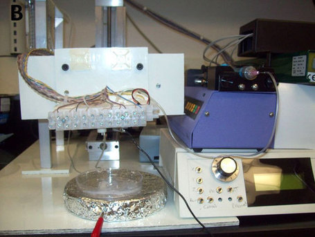 Du cartilage g&eacute;n&eacute;r&eacute; par imprimante 3D | Ateliers Jisseo | Scoop.it
