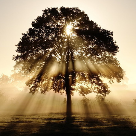 27 Traits Of Successful People | Serving and Leadership | Scoop.it