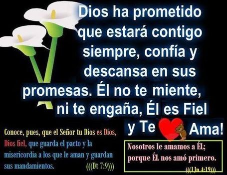 MENSAJES DE AMOR, PAZ y PENSAMIENTOS CRISTIANOS.: REFLEXIÓN DE LA ...