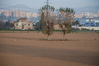Natura i Medi Ambient a L'Hospitalet de Llobregat: Riet Vell, SEO/BirdLife i DE.PA.NA interessats en el conreu de l'arr&ograve;s a L'Hospitalet | #naturaurbana | Scoop.it