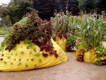 A low-tech version... | Facebook | Vertical Farm - Food Factory | Scoop.it