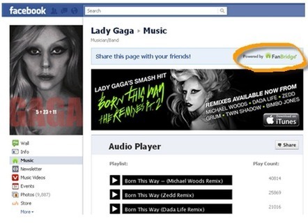 How To Connect 100 Million Facebook Fans | Business Intelligence Revolution | Scoop.it