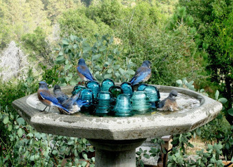 Upcycle glass insulators - in the birdbath! U...