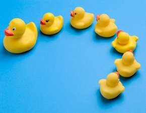 Consuming passions: Tweets and bleats abound at Blands Law ... | Australian Agriculture, Agribusiness and Agvocacy | Scoop.it